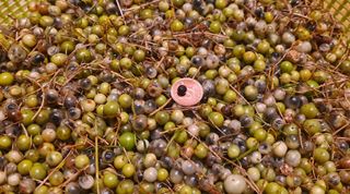 이정운님의 기타작물 · 자유게시판 작성글 사진