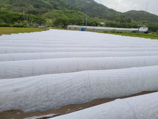 윤채열님의 작목반,동호회 등 나의 모임은? · 참여글 작성글 사진