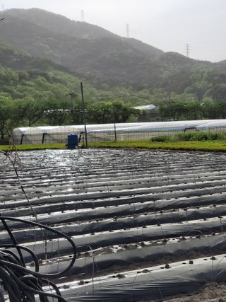 윤채열님의 작목반,동호회 등 나의 모임은? · 참여글 작성글 사진