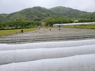 윤채열님의 작목반,동호회 등 나의 모임은? · 참여글 작성글 사진