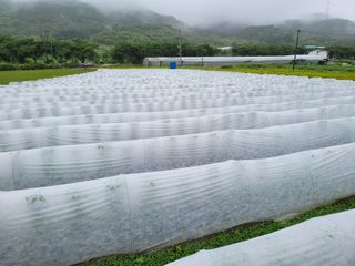 윤채열님의 작목반,동호회 등 나의 모임은? · 참여글 작성글 사진