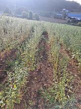 팜모닝 작목반,동호회 등 나의 모임은?·참여글 게시글 이미지