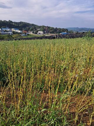 천년의사랑님의 작목반,동호회 등 나의 모임은? · 참여글 작성글 사진
