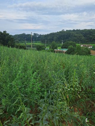 천년의사랑님의 작목반,동호회 등 나의 모임은? · 참여글 작성글 사진