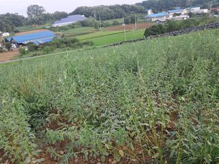 천년의사랑님의 작목반,동호회 등 나의 모임은? · 참여글 작성글 사진