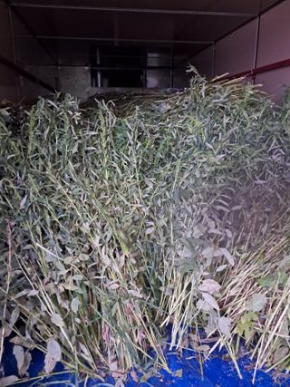 천년의사랑님의 작목반,동호회 등 나의 모임은? · 참여글 작성글 사진