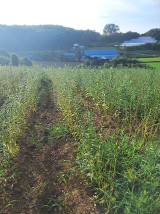 천년의사랑님의 작목반,동호회 등 나의 모임은? · 참여글 작성글 사진
