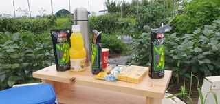 이흥옥님의 벼 · 자유게시판 작성글 사진