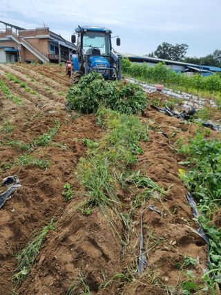 그린1505님의 콩 · 자유게시판 작성글 사진