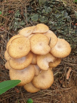 김주희님의 자유주제 · 자유게시판 작성글 사진