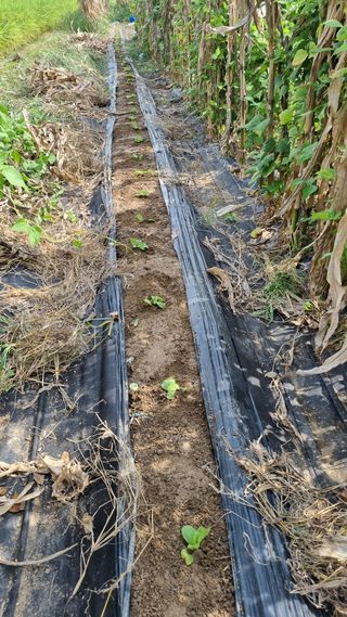 주화숙님의 작목반,동호회 등 나의 모임은? · 참여글 작성글 사진