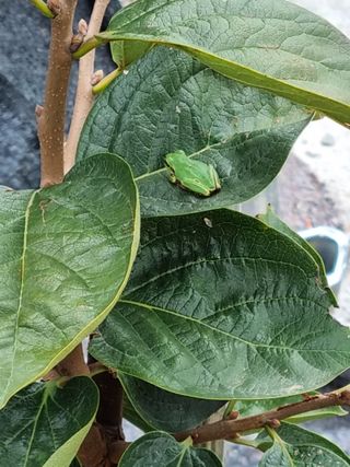 믿고사는농원-송미경님의 작성글 사진