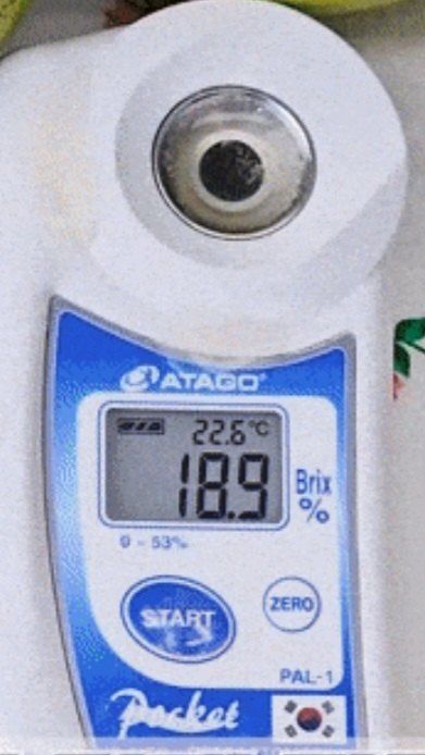 믿고사는농원-송미경님의 장터 판매 상품 [태추단감/가정용 못난이  3kg 5kg] 첨부 사진