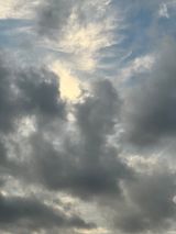 팜모닝 벼·자유게시판 게시글 이미지