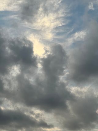 현진호님의 벼 · 자유게시판 작성글 사진