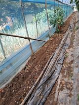 팜모닝 작목반,동호회 등 나의 모임은?·참여글 게시글 이미지