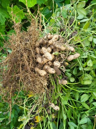 박순례님의 기타작물 · 자유게시판 작성글 사진