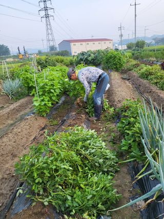 박순례님의 기타작물 · 자유게시판 작성글 사진