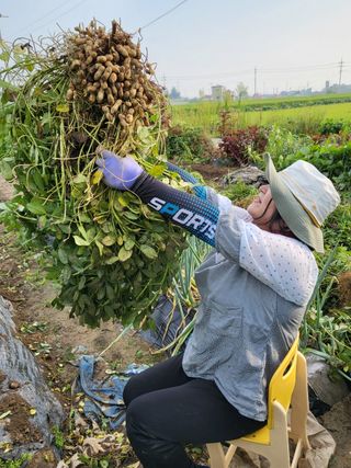 박순례님의 기타작물 · 자유게시판 작성글 사진