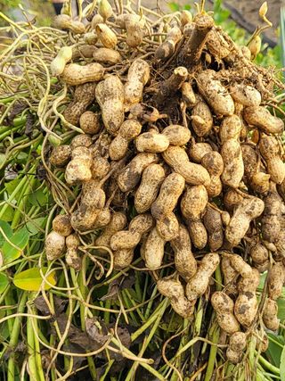 박순례님의 기타작물 · 자유게시판 작성글 사진