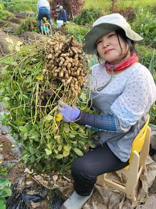 박순례님의 기타작물 · 자유게시판 작성글 사진