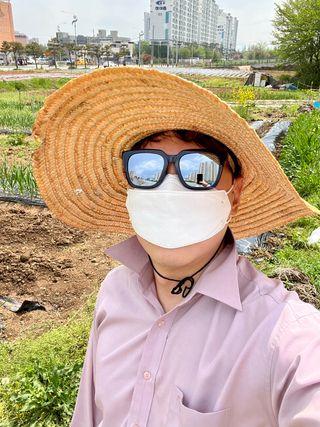 김노인님의 옥수수 · 자유게시판 작성글 사진