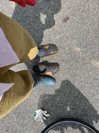 김노인님의 옥수수 · 자유게시판 작성글 사진