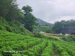 콩5805님의 들깨 · 영농일지 작성글 사진