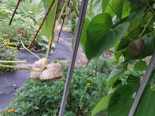 금동이네님의 기타작물 · 자유게시판 작성글 사진