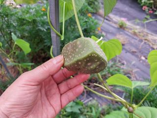 금동이네님의 기타작물 · 자유게시판 작성글 사진