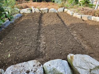 충주gomtenge님의 자유주제 · 자유게시판 작성글 사진