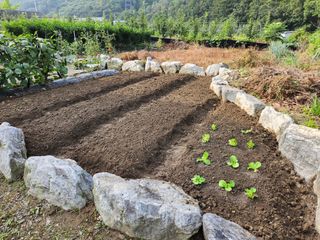 충주gomtenge님의 자유주제 · 자유게시판 작성글 사진