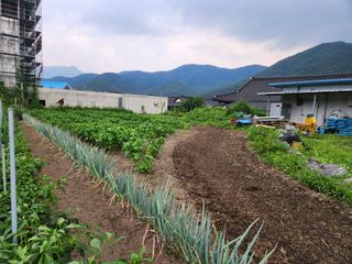 동산에살으리.님의 기타작물 · 자유게시판 작성글 사진