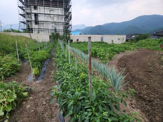 동산에살으리.님의 기타작물 · 자유게시판 작성글 사진