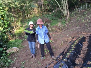 안창영님의 기타작물 · 영농일지 작성글 사진