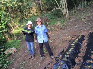 안창영님의 기타작물 · 영농일지 작성글 사진