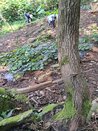 안창영님의 기타작물 · 영농일지 작성글 사진