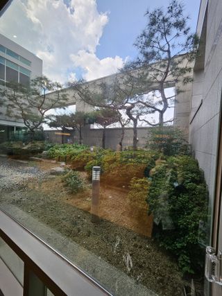 홍&이님의 자유주제 · 자유게시판 작성글 사진