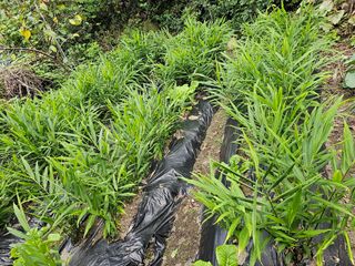 빠꼼이님의 자유주제 · 자유게시판 작성글 사진