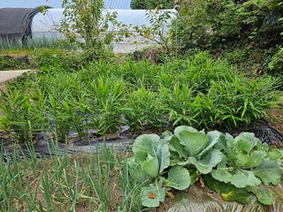 빠꼼이님의 자유주제 · 자유게시판 작성글 사진