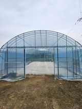 팜모닝 참깨·영농일지 게시글 이미지