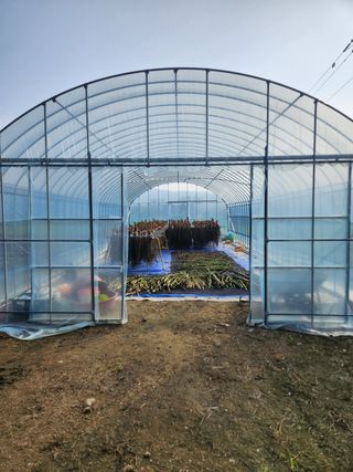 HYUN님의 참깨 · 영농일지 작성글 사진