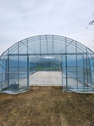 HYUN님의 참깨 · 영농일지 작성글 사진