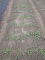 팜모닝 자유주제·자유게시판 게시글 이미지