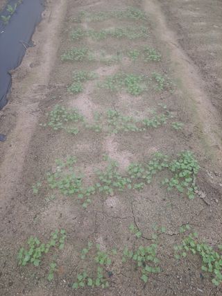 딱딱이~~님의 자유주제 · 자유게시판 작성글 사진