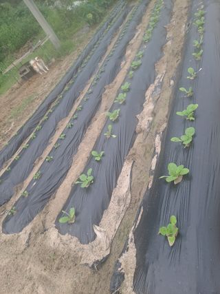 딱딱이~~님의 자유주제 · 자유게시판 작성글 사진