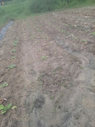 딱딱이~~님의 자유주제 · 자유게시판 작성글 사진