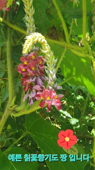 인생은 소풍처럼님의 기타작물 · 자유게시판 작성글 사진