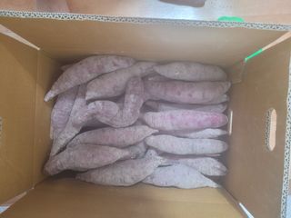 문세민님의 고구마 · 자유게시판 작성글 사진