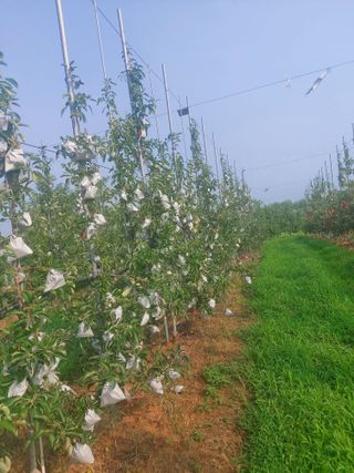 서산 호반농원이양옥님의 작목반,동호회 등 나의 모임은? · 참여글 작성글 사진
